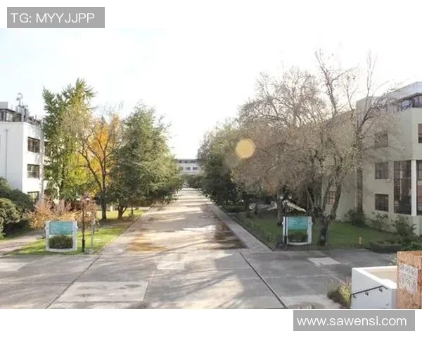 特木科与智利大学的较量：谁能在南美洲学术舞台上脱颖而出